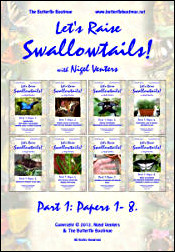 Let's Raise Swallowtails! (Part One)
